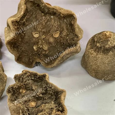 Balam Kheera Phal (Dry) - Balam Khira Fruit - Kigelia Africana- Bulk ...