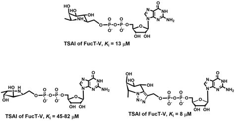 Transition State Analog 的图像结果