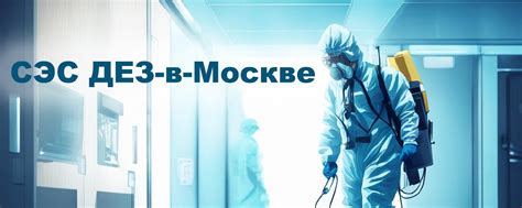 Центр Дезинфекции ДЕЗ-в-Москве | -дератизация (уничтожение грызунов ...
