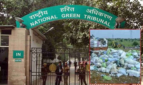 Verify if waste-to-energy plant functional, NGT tells TNPCB