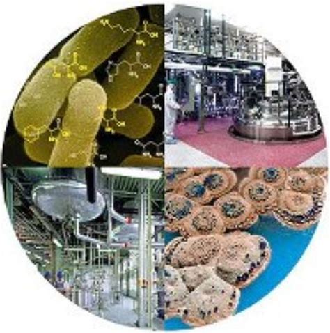 Modern Biotechnology 的图像结果