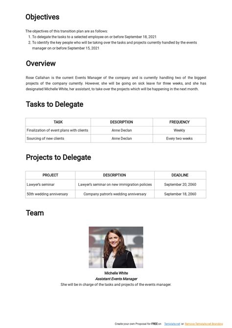 Project Management Transition Plan Template 的图像结果