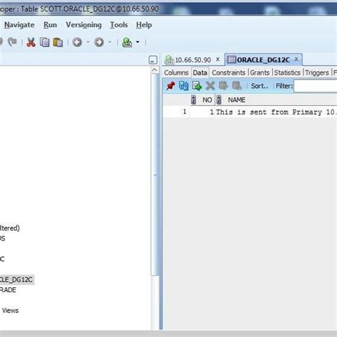 Image result for SQL Developer Interface