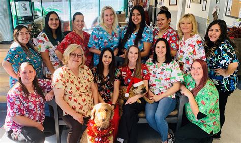 Veterinarian in Palmdale, CA | Trusted Vet and Animal Hospital