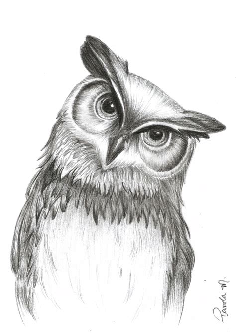 How To Draw an Owl 10 Easy Drawing - How To Draw An Owl For Kids 1 drawing an owl