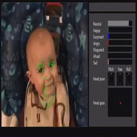 Prof. C Krishna Mohan