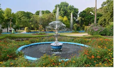 CSIR-NBRI Botanic Garden, Lucknow: A National Facility | Council of ...