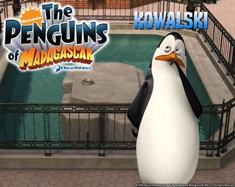 Kowalski poster | Penguins, Penguins of madagascar, Madagascar