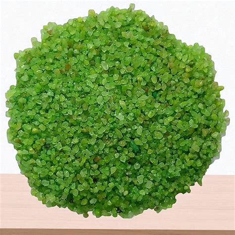 Small Light Green Pebbles (25g) – Plant Orbit