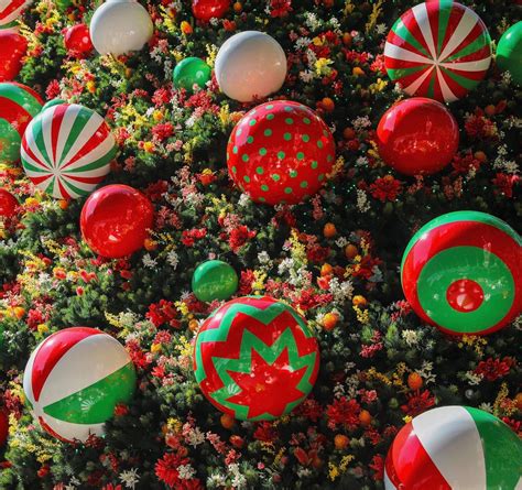 Christmas party - Beechworth Bush Botanic Garden, Beechworth Chinese ...