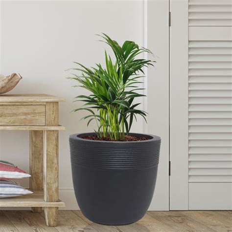 Small Iris Pot – Nora