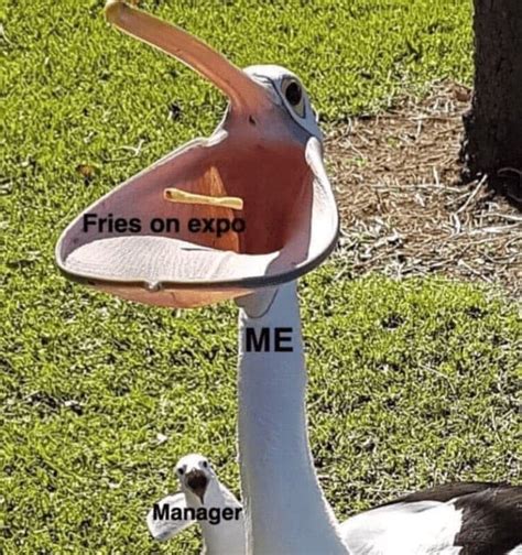 Image result for Computer Server Memes