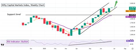FI Sector Pulse: Bullish on Capital Markets (July 2025)Insights
