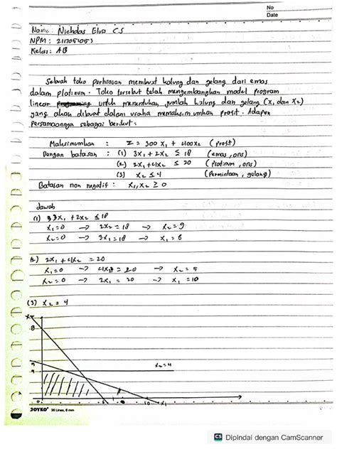Image result for Linear Programming Dan Assignment