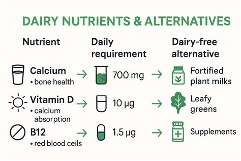 How to Go Dairy Free in 2025: A Complete Guide for Every Lifestyle ...