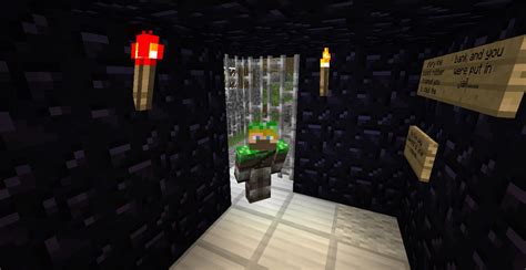 Image result for Minecraft Problem Solving