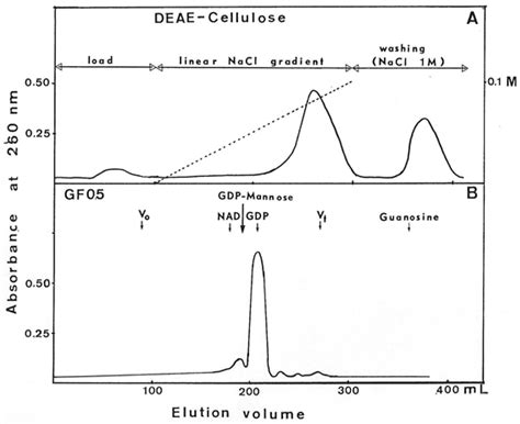 The GDP-Mannose Dehydrogenase of Pseudomonas aeruginosa: An Old and New ...