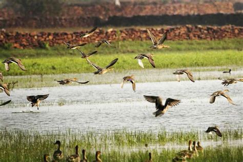राजस्थान की खूबसूरती में चार चांद लगाती है यह अनोखी जगह, आप भी पहुंचें ...