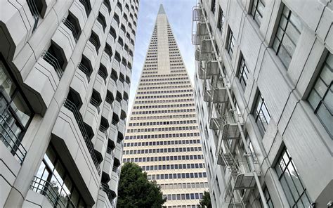 Download wallpaper 2560x1600 buildings, bottom view, facades, trees ...