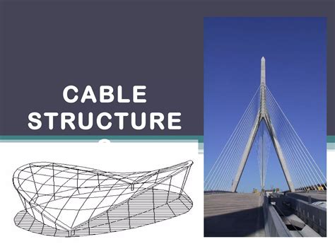 Cable Structure System Examples 的图像结果