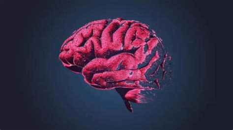 ‘Skibidi’, ‘delulu’ and ‘broligarchy’ among 6,000 new words added to ...