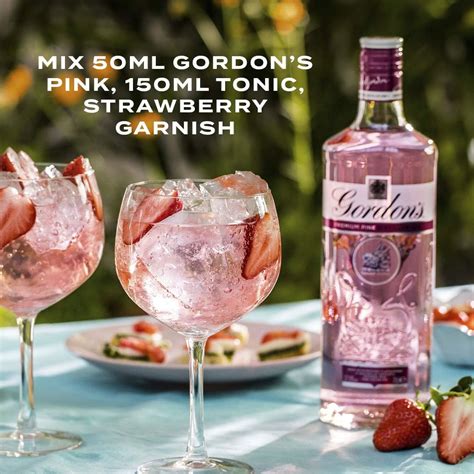 Buy Gordon's Premium Pink Distilled Gin, 1L Online at Lowest Price in ...