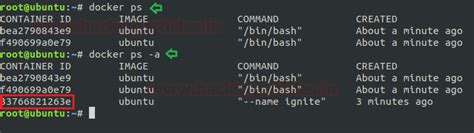 Docker Installation & Configuration - Hacking Articles