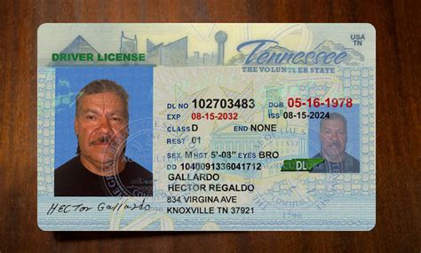 Tn Drivers License Check