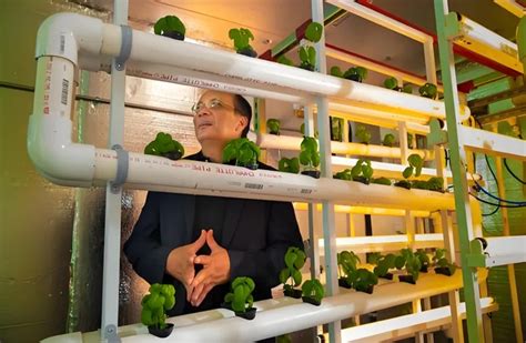 Vertical Farming Process 的图像结果