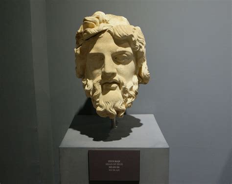 Zeus Executor Roblox 的图像结果