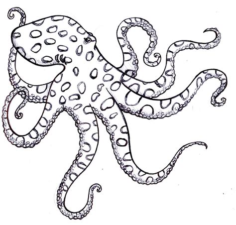 Simple Octopus Drawing at GetDrawings | Free download