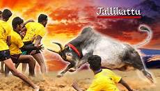 Hd Jallikattu Kaalai Wallpapers 3d by Petition Support Jallikattu Canada Tamils Hd Jallikattu Kaalai Wallpapers 3d