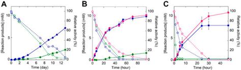 An Efficient Protein Evolution Workflow for the Improvement of ...