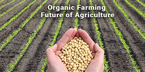 ORGANIC FARMING
