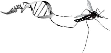 Image result for Biological Vector