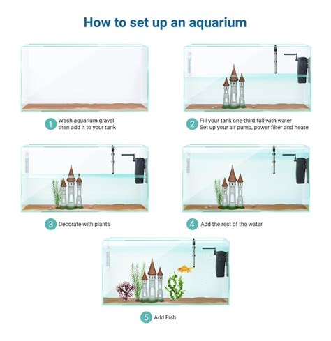 Image result for Basic Setup Fish Tank