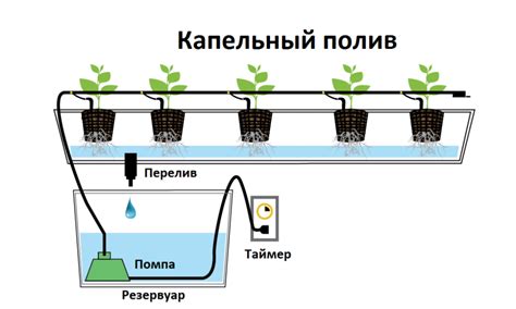 Типы гидропонных систем - City Farmer