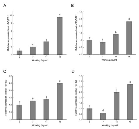 The Essentials of PgPG1, a Polygalacturonase-Encoding Gene for the ...