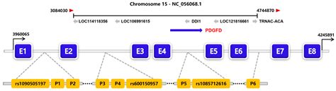 Insertion/Deletion (InDel) Variants within the Sheep Fat-Deposition ...