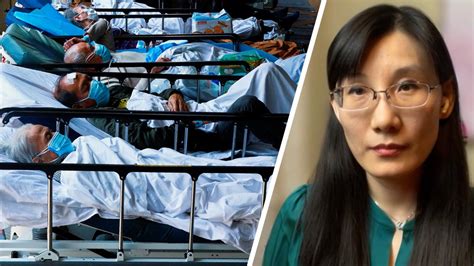 Exclusive | Independent Virologist, Dr. Li-Meng Yan Talks To BTTV On ...