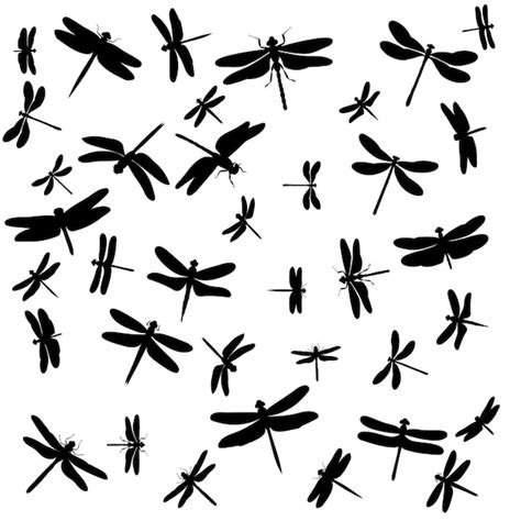 Libelle fliegt Insekt Satz von Silhouetten Hintergrund | Premium Vektor