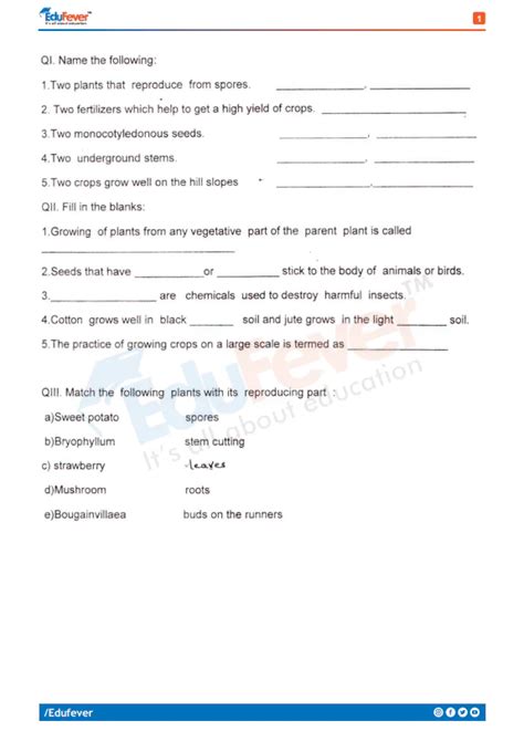 Class 5 CBSE Science 的图像结果