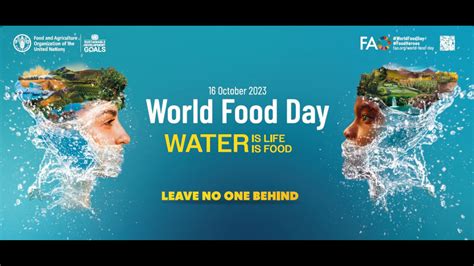 World Food Day 2023: Quotes, Wishes And Activities to Do | Viral ...