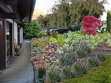 plantes vivaces pour talus fleurir un talus plan de talus fleuri plantes vivaces pour talus fleurir un talus plan de talus fleuri