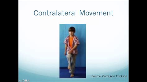 Image result for Contralateral Reflex Example