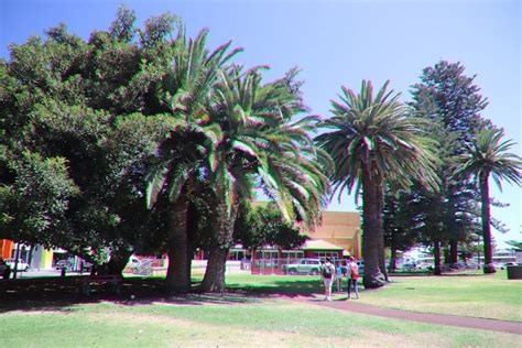 PIONEER PARK (2026) All You Need to Know BEFORE You Go (with Photos ...