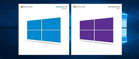Image result for Windows Pro Vs Home