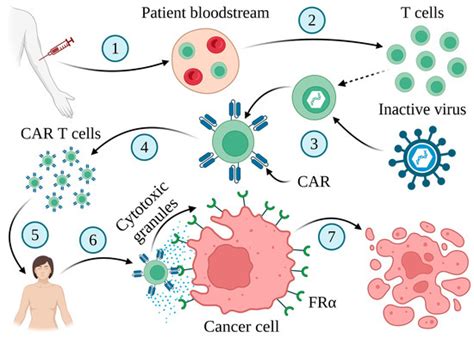 Folate Receptor Alpha—A Secret Weapon in Ovarian Cancer Treatment?