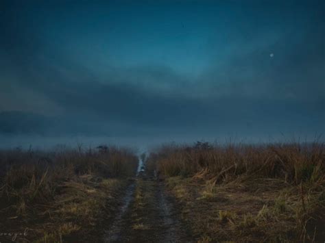 વિશ્વ પર્યાવરણ દિવસ પર દેશભરના ખુલ્લા વન વગડાની એક ઝલક, જેનો જાદુ દરેક ...