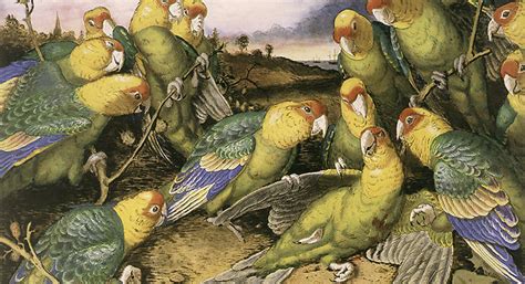 Image result for Sales Dashboard Using Python